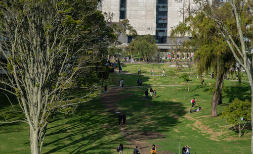 El campus de la UNAL Sede Bogotá es uno de los más grandes de América Latina, cuenta con 1.200.000 m2 de área total. Foto: Nicol Torres - Unimedios