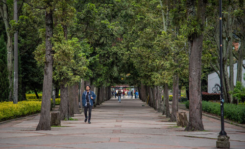 Las generosas áreas verdes del Campus de la UNAL Sede Bogotá son extensiones de las aulas de clase. Foto: Jeimi Villamizar – Unimedios.