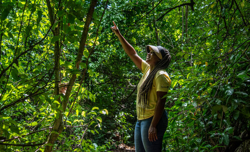 El Jardín Botánico de la UNAL  ofrece espacios para el estudio y protección de los recursos naturales autóctonos del Caribe colombiano del país. Foto: Jeimi Villamizar – Unimedios.