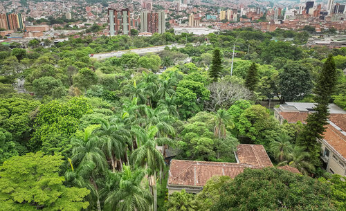 Arboretum y Palmetum Sede Medellín es una colección viva dedicada principalmente a árboles y palmas, con fines de conservación, educación e investigación. Foto: Comunicaciones Sede Medellín.