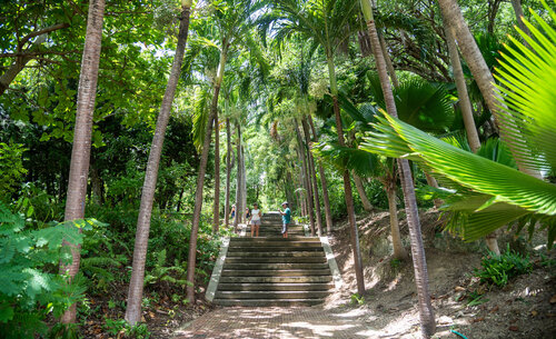 Jardín Botánico Sede caribe. Foto: Jeimi Villamizar - Unimedios