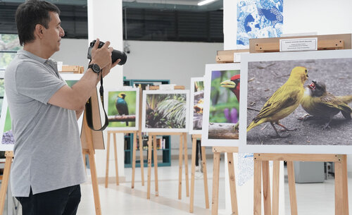Exposición de las aves más representativas de los bosques húmedos del Valle del Cauca, Sede Palmira. Foto: Helmuth Eduardo Ceballos/Unimedios Palmira.