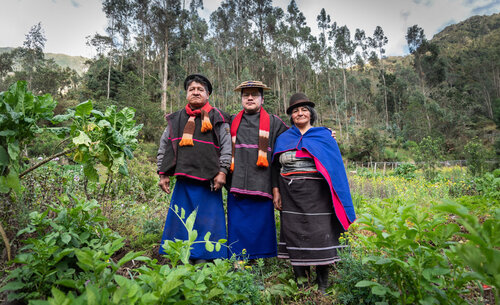 La UNAL hace presencia en las montañas del territorio del resguardo Guambia, donde Andrés Tombe, joven misak e  ingeniero agrónomo, hace un trabajo de recuperación de las variedades de papas nativas. Foto: Jeimi Villamizar – Unimedios.