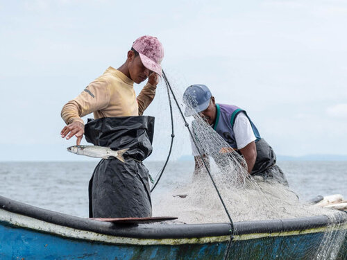 Pesca artesanal en el Pacífico nariñense, rumbo a un aprovechamiento sostenible