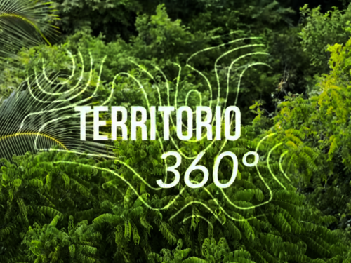  Jardín Botánico de San Andrés: Investigación y educación ambiental | Territorio 360 