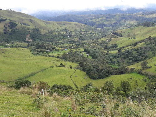 Gestión de Áreas Protegidas en Colombia, un balance agridulce