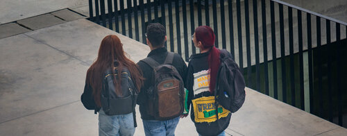 Campus UNAL, Sede Bogotá. Foto: Nicol Torres, Unimedios.