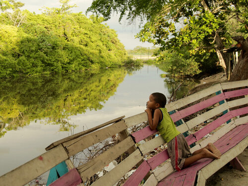 Basuras y construcciones sofocan el manglar del caño Juan Angola, en Cartagena