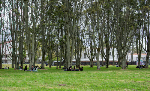 Campus UNAL, Sede Bogotá. Foto: Nicol Torres, Unimedios.