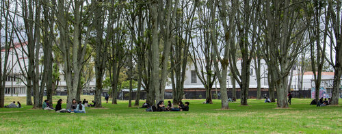 Campus UNAL, Sede Bogotá. Foto: Nicol Torres, Unimedios.