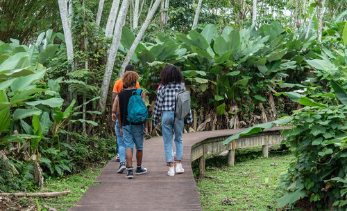 Sendero ecológico, Sede Tumaco. Foto: Archivo, Unimedios.