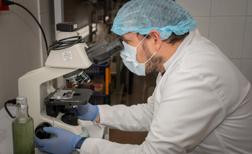 Muestras de cianotoxinas, producidas por la proliferación de las cianobacterias. Foto: María Fernanda Londoño, Unimedios.