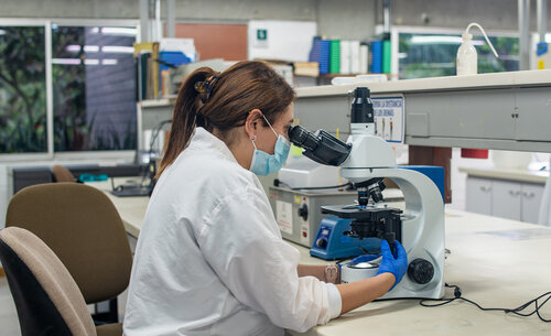 Trabajo en Laboratorios de la UNAL Sede Medellín. Foto: Oficina de Comunicaciones UNAL Sede Medellín.