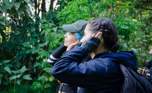 El campus de la UNAL Sede Bogotá es el hogar de una gran variedad de aves.  Foto: María Fernanda Londoño de la Hoz, Unimedios