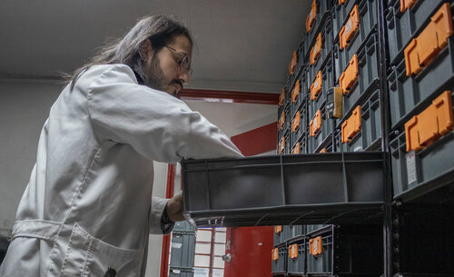 Laboratorios del Centro de Investigación en Artrópodos Terrestres (CINAT). Foto: Nicol Torres, Unimedios.