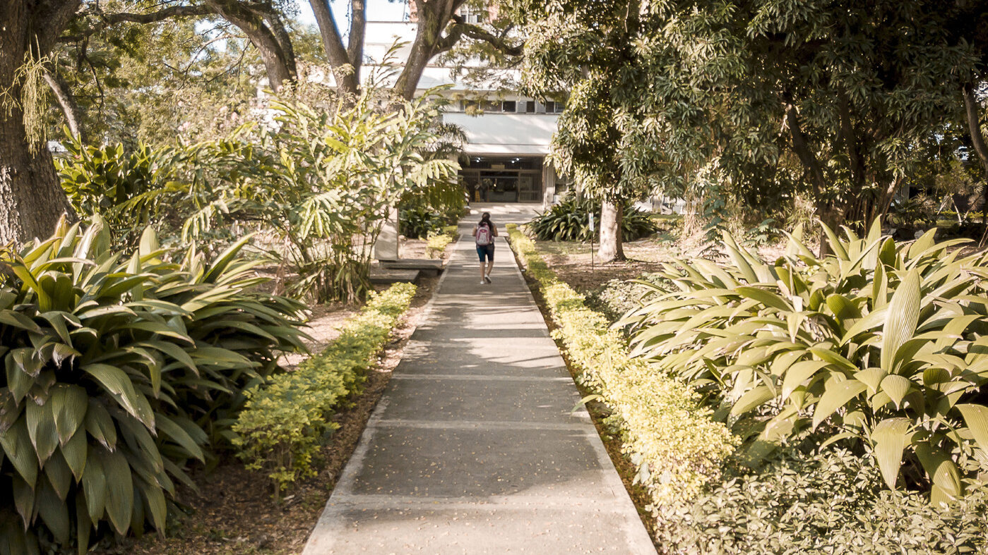 Con inauguración de la Colección Arboretum, de casi 900 árboles, inicia la COP16 en la UNAL