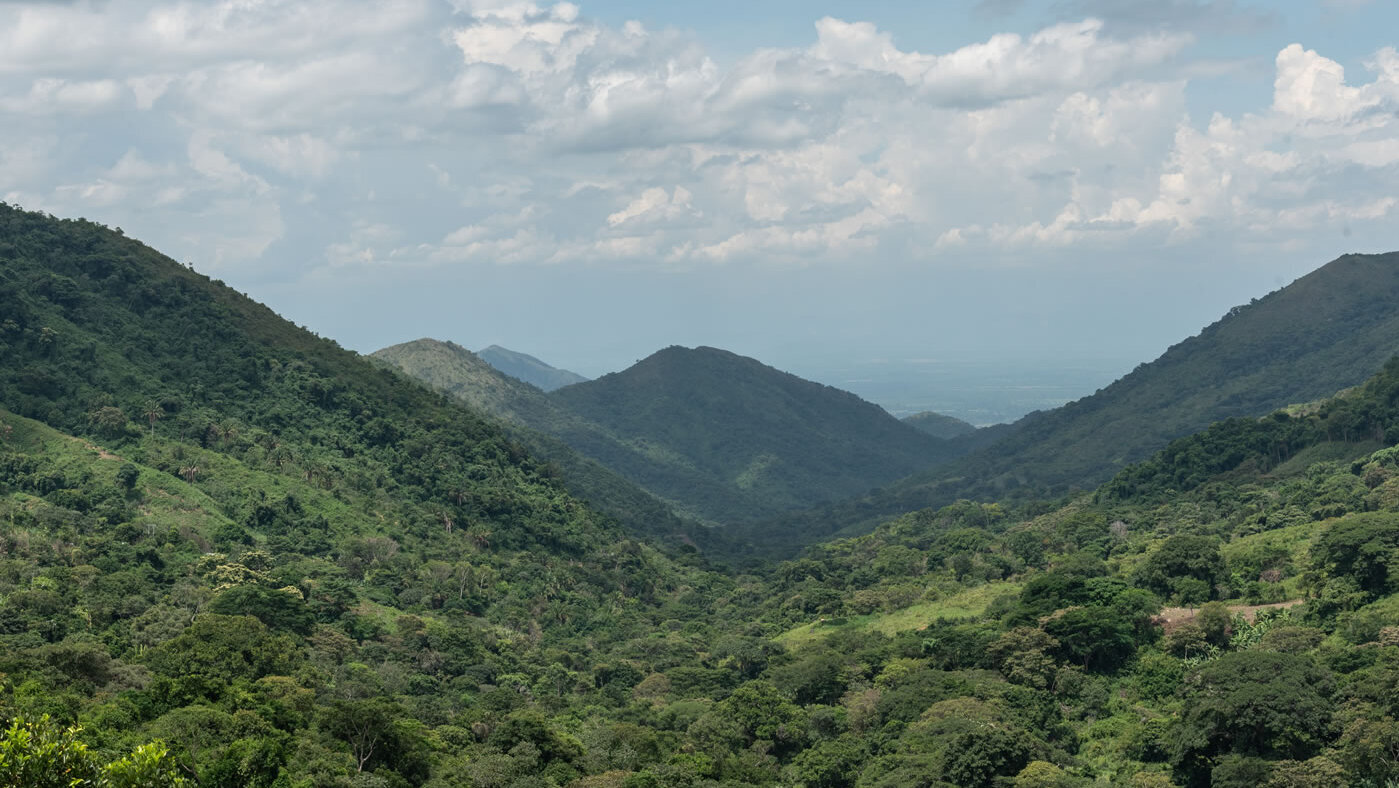 COP 16: Biodiversidad entre sierras 