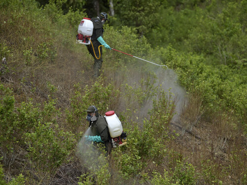 El glifosato no solo mata plantas, también microorganismos del suelo