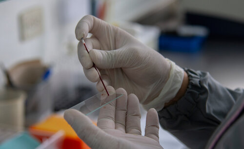 Laboratorio Patológico de la Clínica para Pequeños Animales, UNAL Sede Bogotá. Foto Nicol Torres, Unimedios.