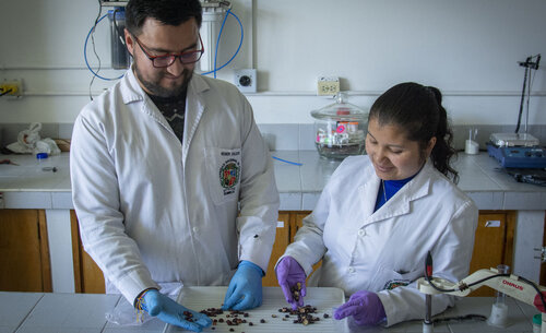 Laboratorio de frutas tropicales, UNAL Sede Bogotá. Foto Nicol Torres, Unimedios