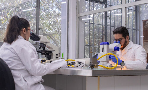 Laboratorio departamento de biología UNAL, Sede Bogotá. Foto: Nicol Torres, Unimedios.