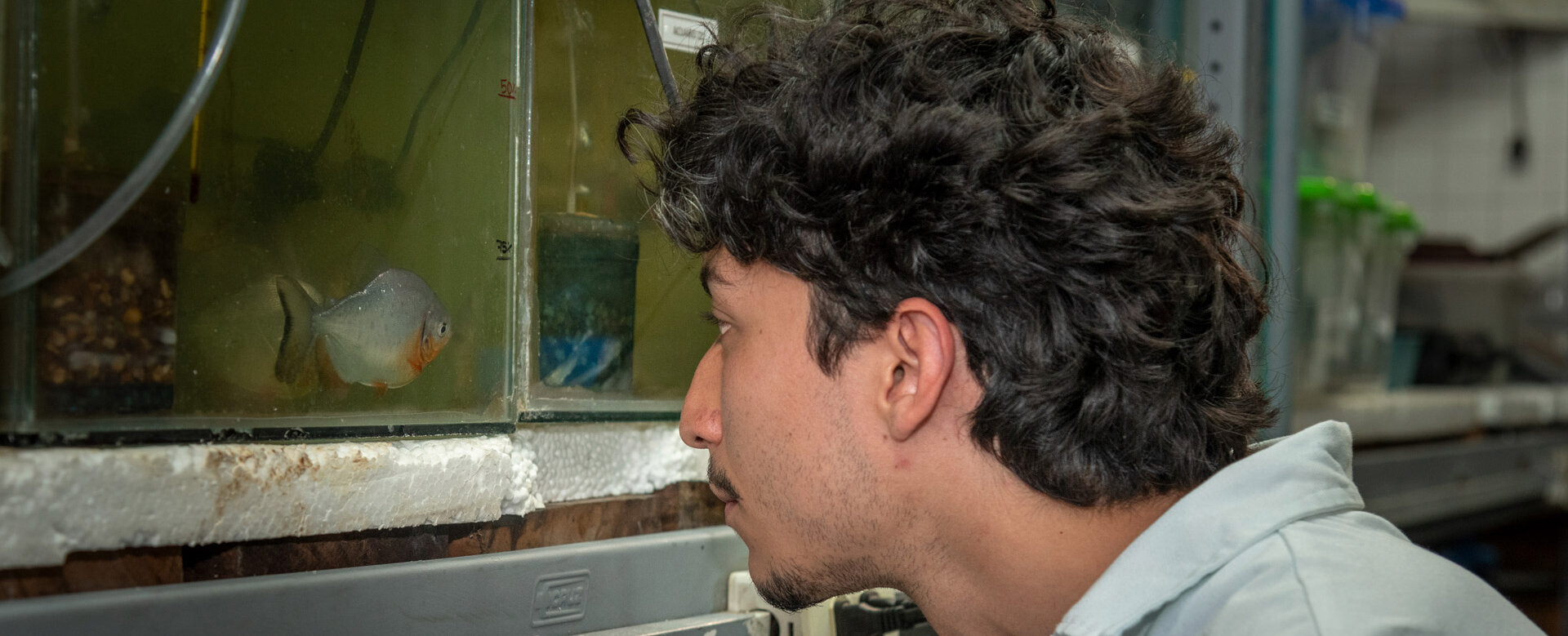 Biólogos de la UNAL, estudian y cuidan las especies de peces y reptiles que habitan en el campus de la Sede Bogotá