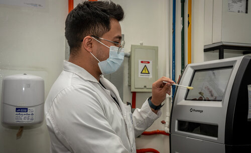 El análisis genético se realiza mediante técnicas de biología molecular y altos estándares de calidad. Foto: María Fernanda Londoño, Unimedios.