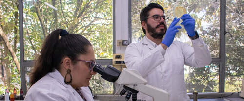 Laboratorio departamento de biología UNAL, Sede Bogotá. Foto: Nicol Torres, Unimedios.