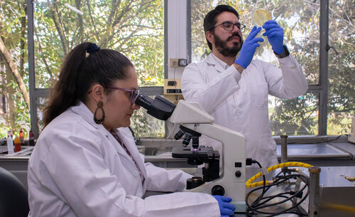 Laboratorio departamento de biología UNAL, Sede Bogotá. Foto: Nicol Torres, Unimedios.