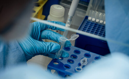 Las pruebas de genética realizadas en la UNAL siguen protocolos reconocidos internacionalmente. Foto: María Fernanda Londoño, Unimedios.