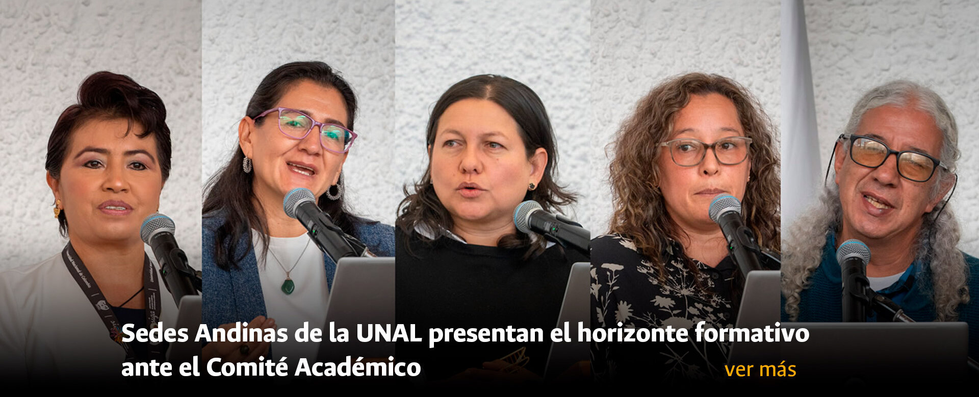 Sedes Andinas de la UNAL presentan el horizonte formativo ante el Comité Académico
