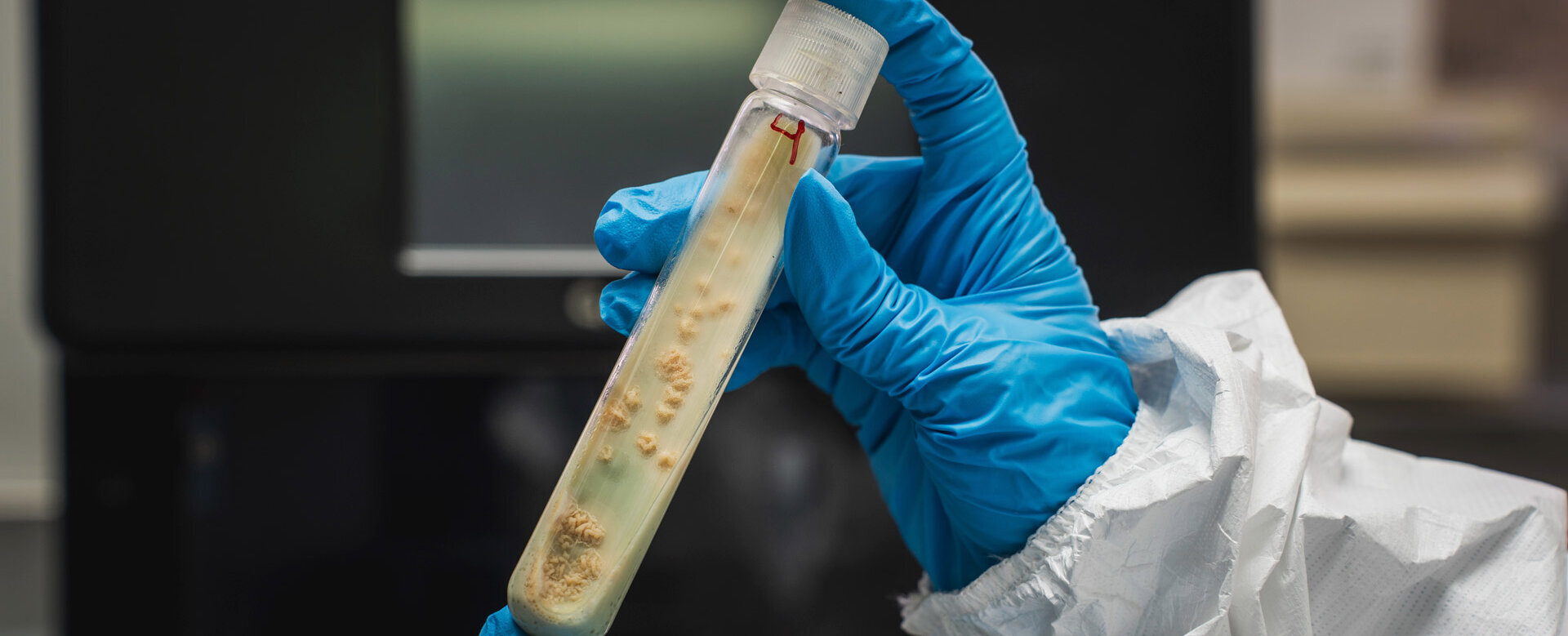 El laboratorio de micobacterias no solo se dedica a la investigación básica, sino también al diagnóstico especializado. Foto: María Fernanda Londoño, Unimedios