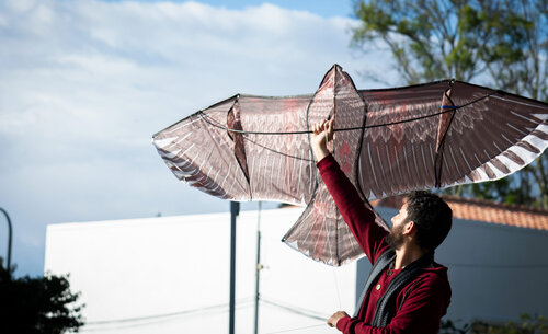 Caminos del cuidado, Cielos elementales. Foto: María Fernanda Londoño, Unimedios