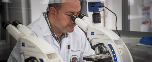 El Grupo de Parasitología Veterinaria de la UNAL suma más de dos décadas liderando procesos de investigación científica y cuenta con el reconocimiento en categoría A1 por parte de MinCiencias. Foto: archivo, Unimedios