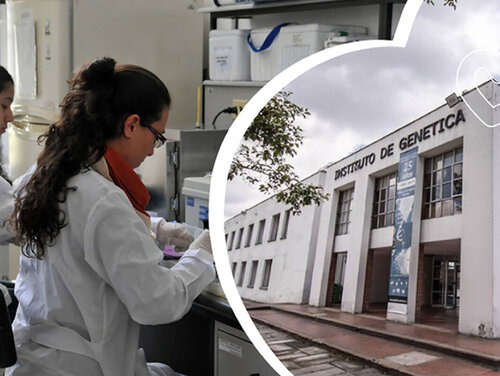 Maestría en Genética Humana UNAL obtiene acreditación por 8 años