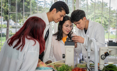 Estudiantes en clase de Biología de plantas, Sede Bogotá. Foto: María Fernanda Londoño, Unimedios.