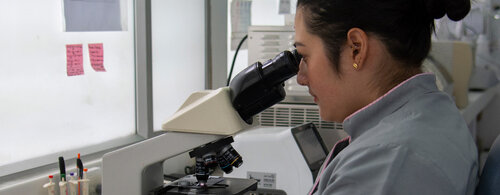 Laboratorio Patológico de la Clínica para Pequeños Animales, UNAL Sede Bogotá. Foto Nicol Torres, Unimedios.