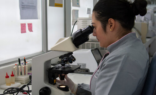 Laboratorio Patológico de la Clínica para Pequeños Animales, UNAL Sede Bogotá. Foto Nicol Torres, Unimedios.