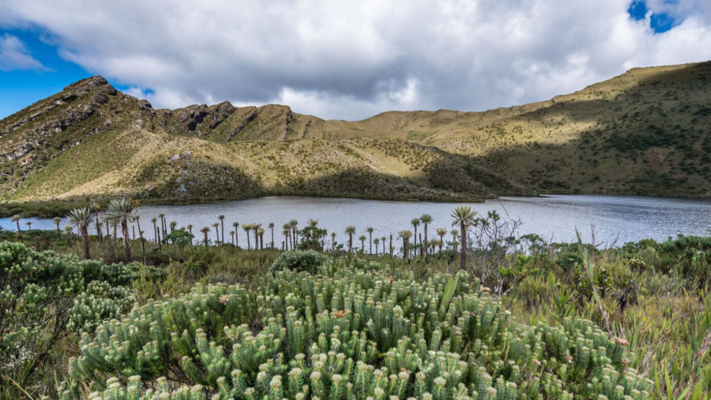 COP 16: Páramos, agua y biodiversidad