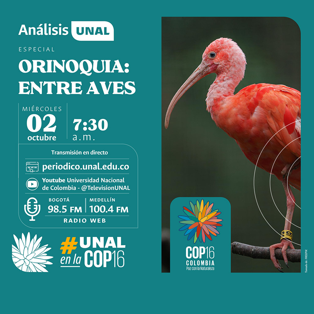 Orinoquia: Entre Aves