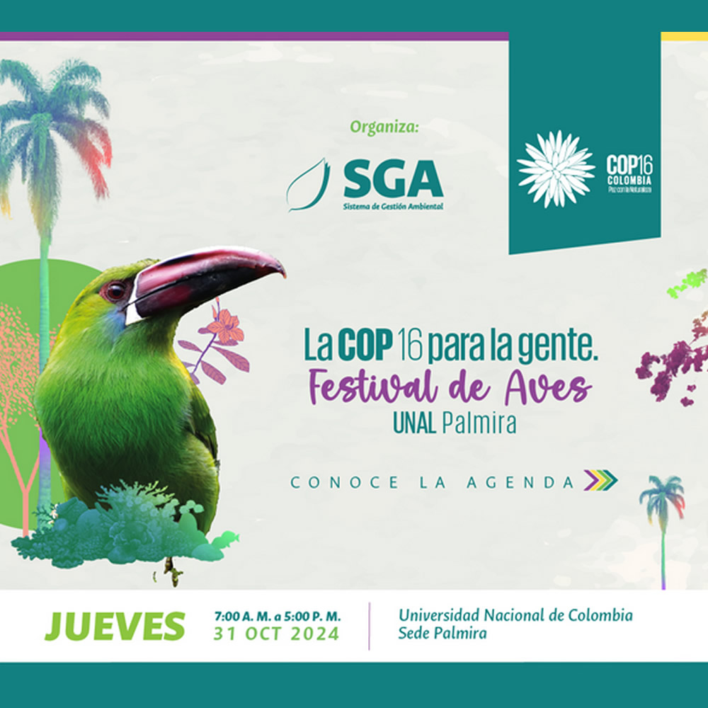 Festival de Aves - Palmira UNAL