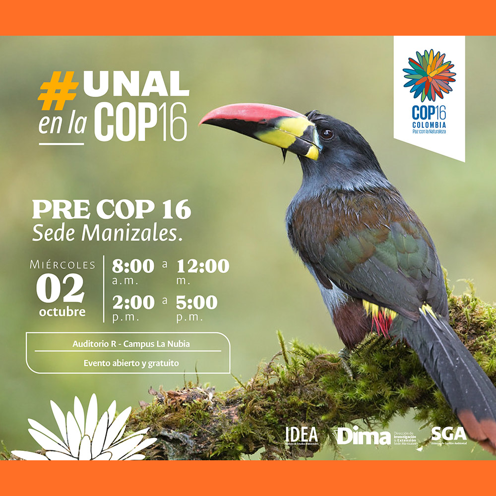 Pre COP16 Sede Manizales