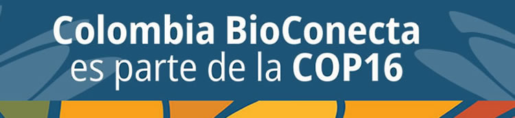 Colombia BioConecta es parte de la COP16 - Ir al sitio web.